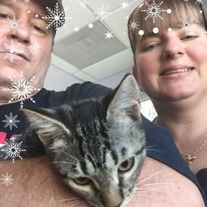 Meet your Posher, Goldie